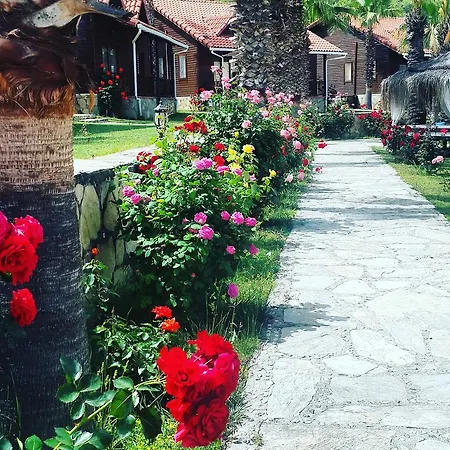 Hotel Club Sun Village