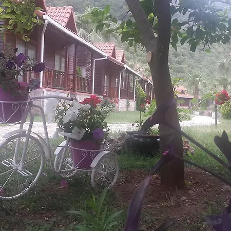 Hotel Club Sun Village 3*