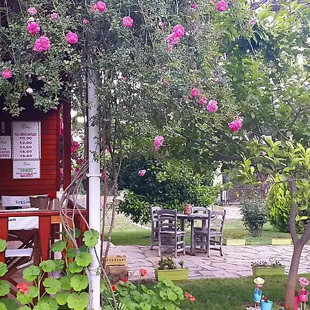 Club Sun Village Hotel